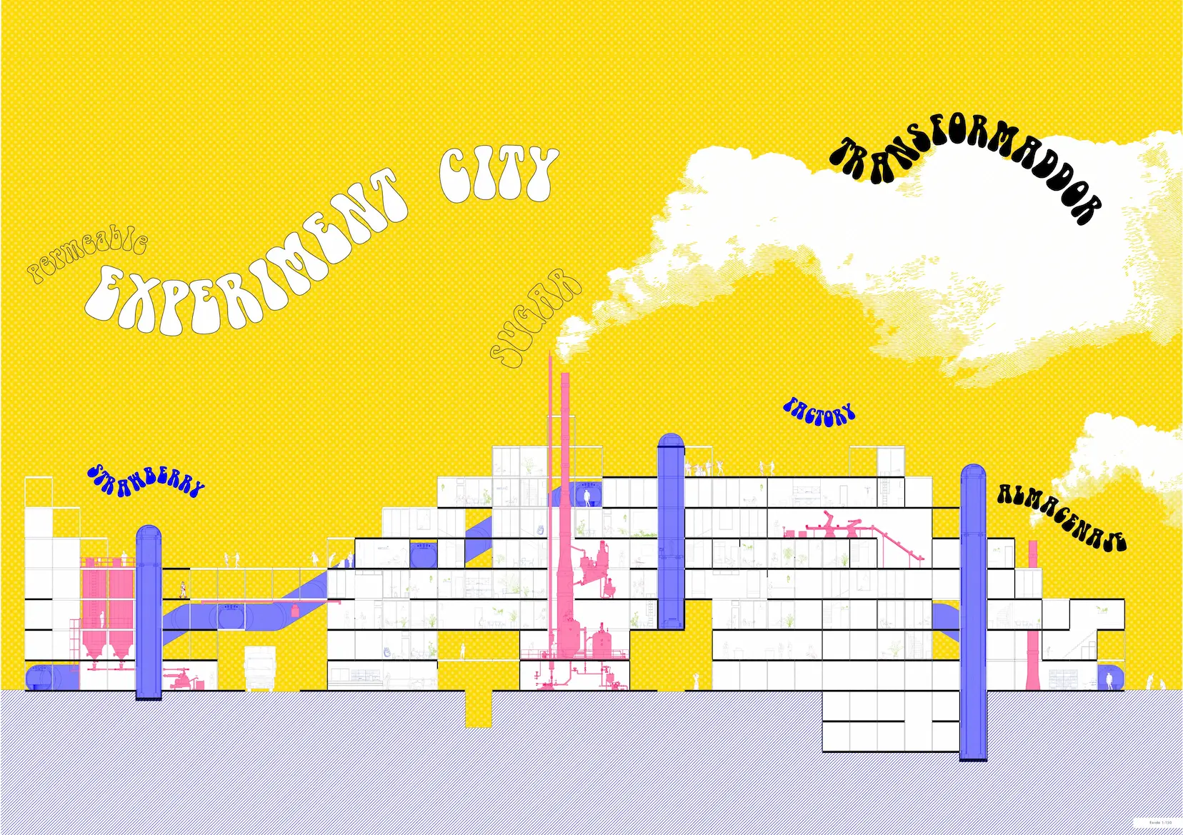 002_experiment_city